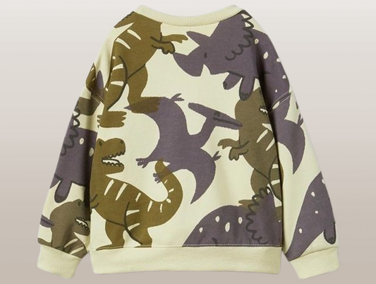 ZARA Dino Sweatshirt for Kids