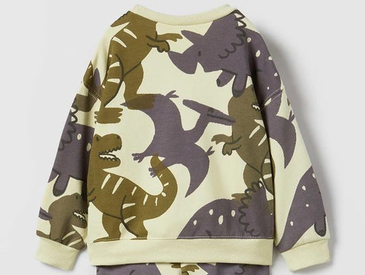 ZARA Dino Sweatshirt for Kids