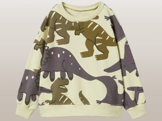 ZARA Dino Sweatshirt for Kids