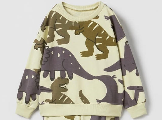 ZARA Dino Sweatshirt for Kids