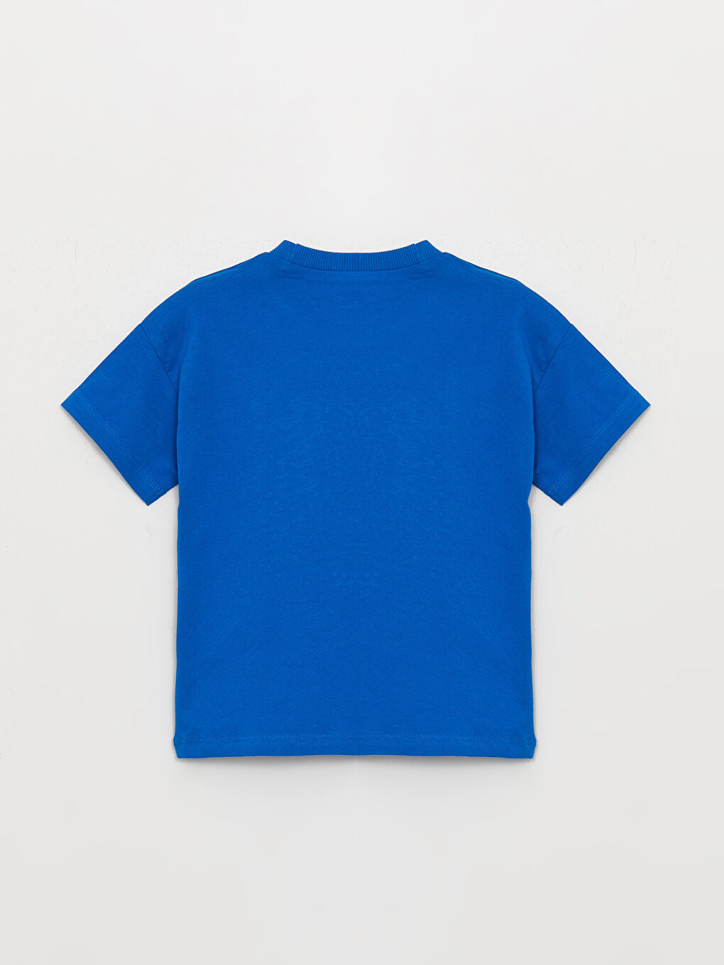 Blue Crew Neck Printed Baby Boy T-Shirt