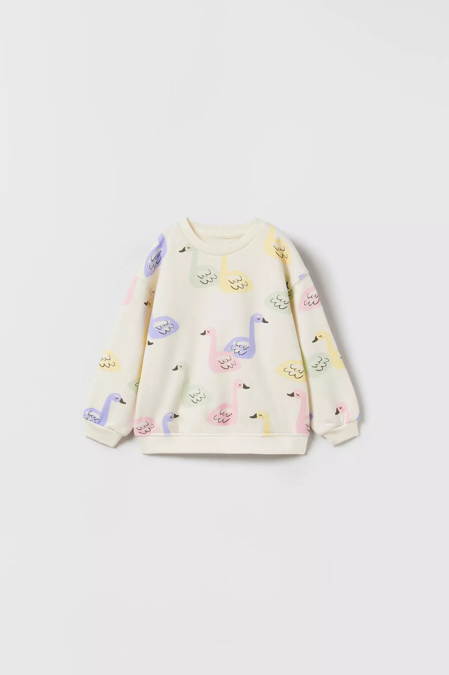 ZARA Printed Sweatshirt